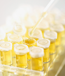 커스텀 블렌드 서비스 이미지