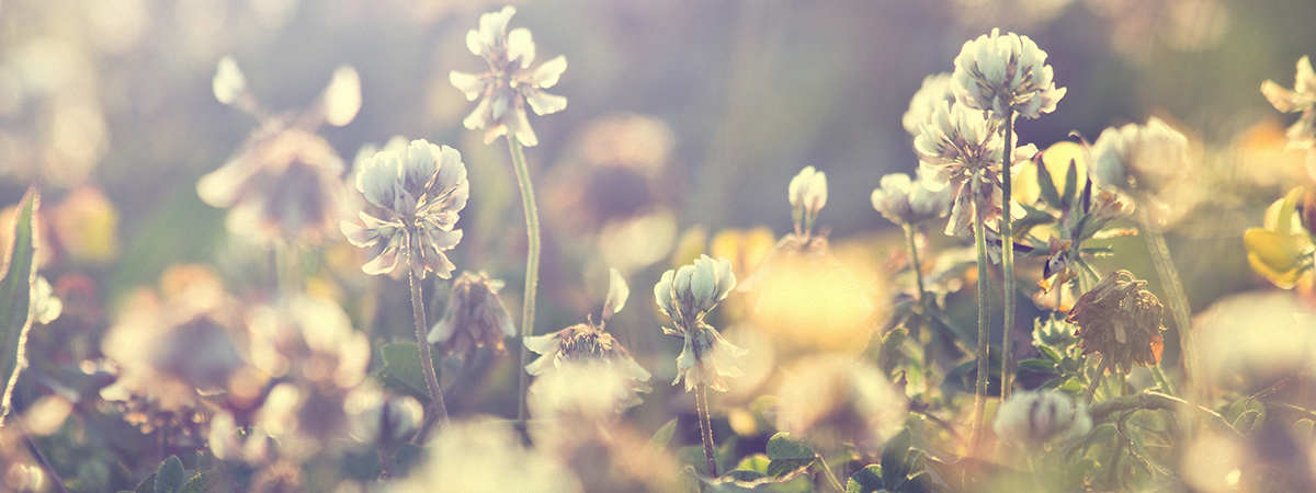 header_jmk
