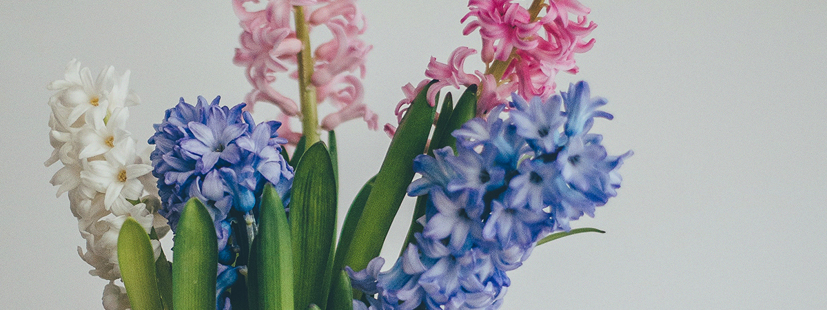 header_jmk