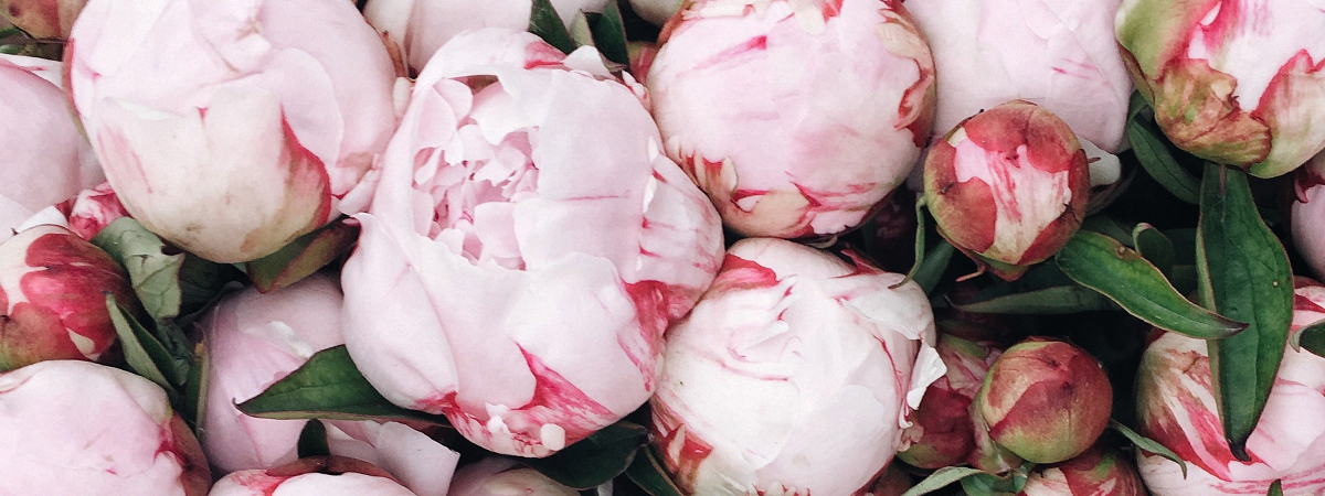 header_jmk