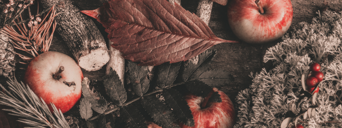 Title_Autumn Leaves & Moss.jpg