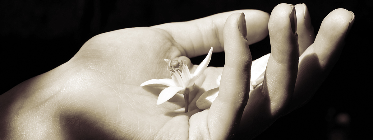 header_jmk