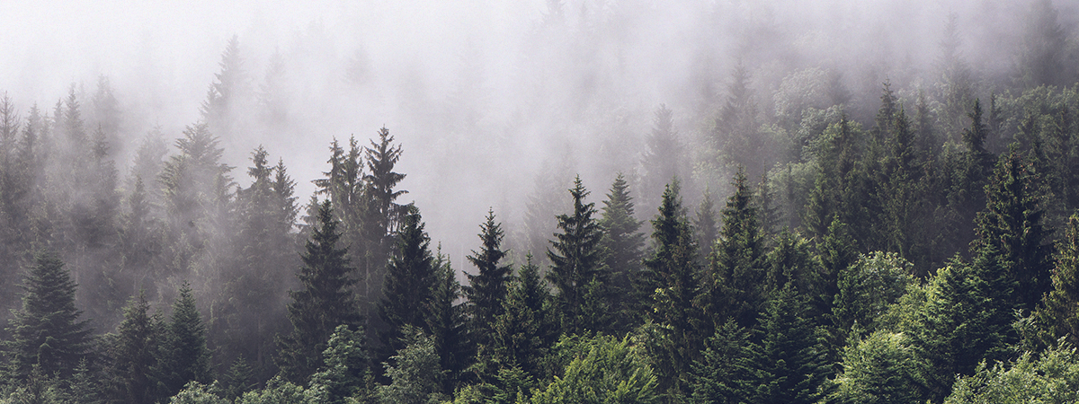 header_jmk