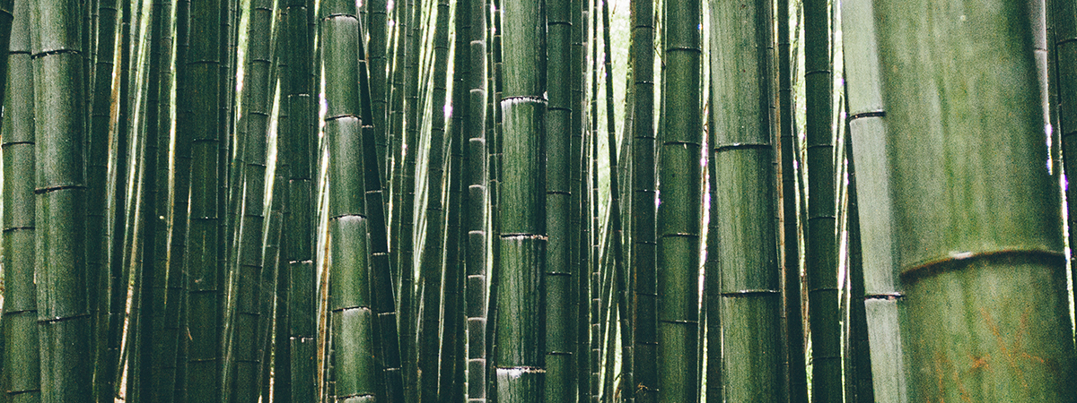 header_jmk