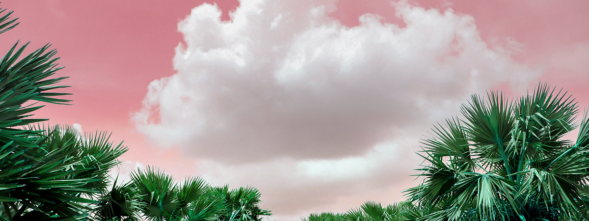 header_jmk