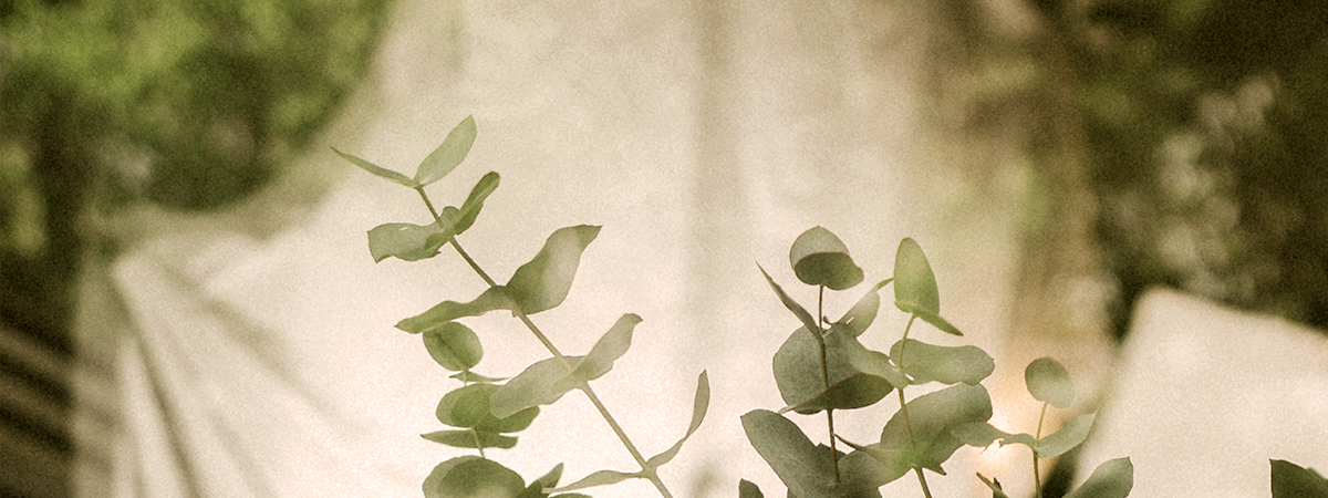 header_jmk