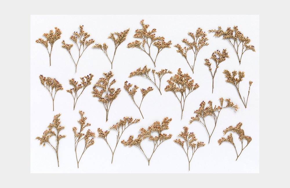 Detail_02_Pressed Flower_미스티 블루.jpg