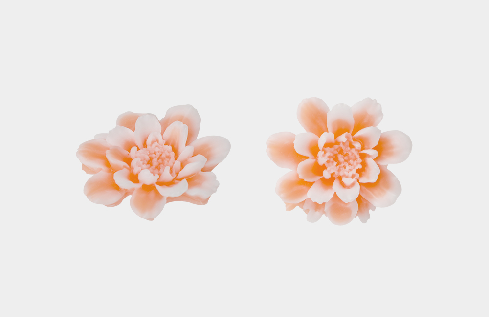 Detail_01_Camellia Deco.jpg