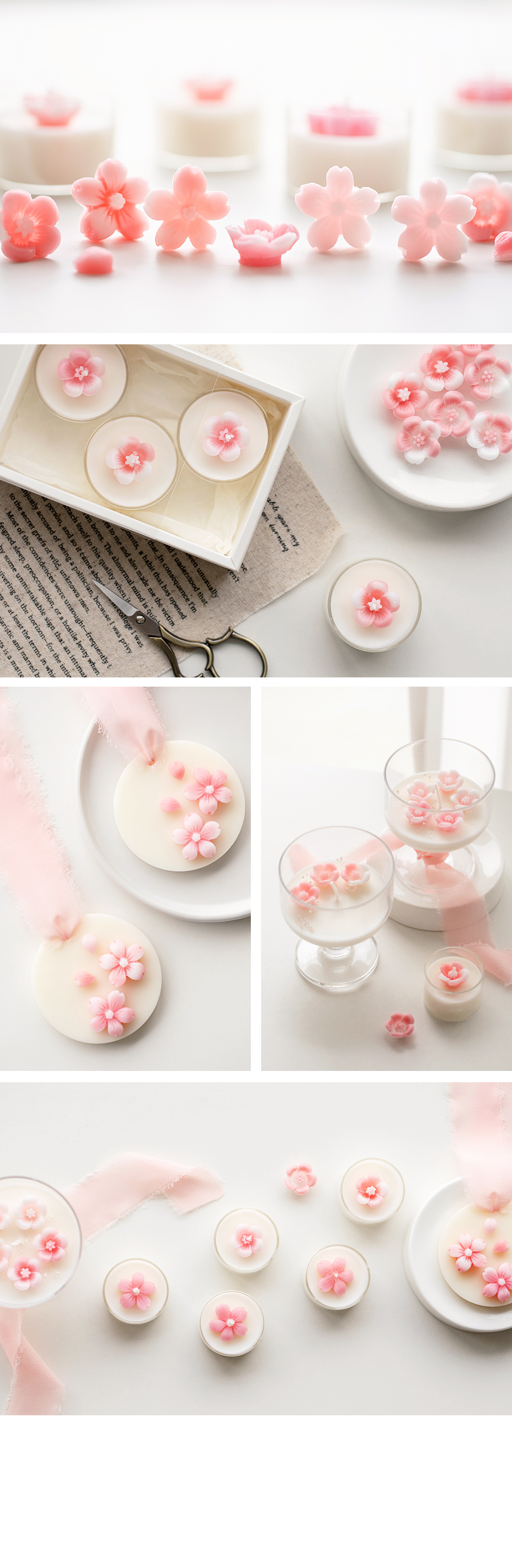 Image_Camellia Deco.jpg