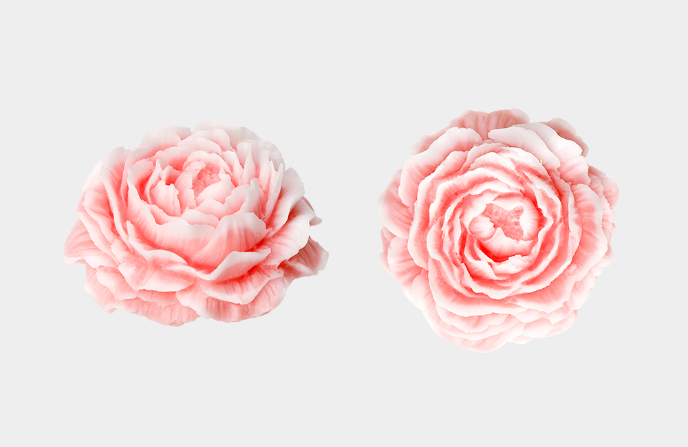 Detail_01_Camellia Deco.jpg