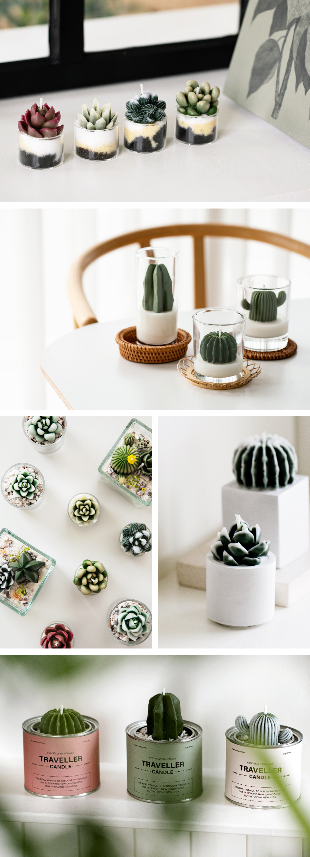 Image_Camellia Deco.jpg