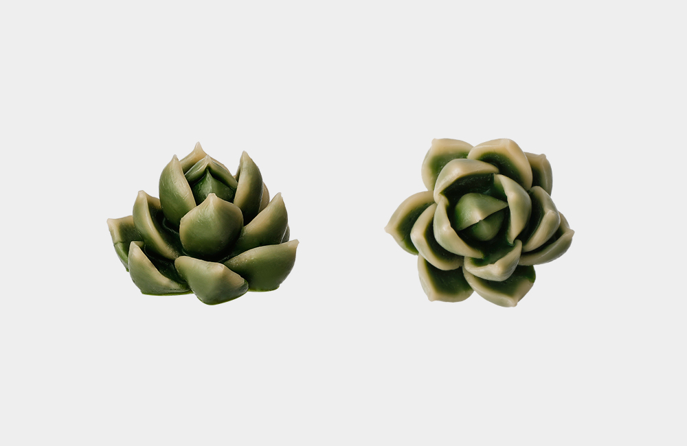 Detail_01_Camellia Deco.jpg