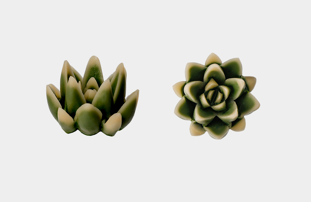 Detail_01_Camellia Deco.jpg