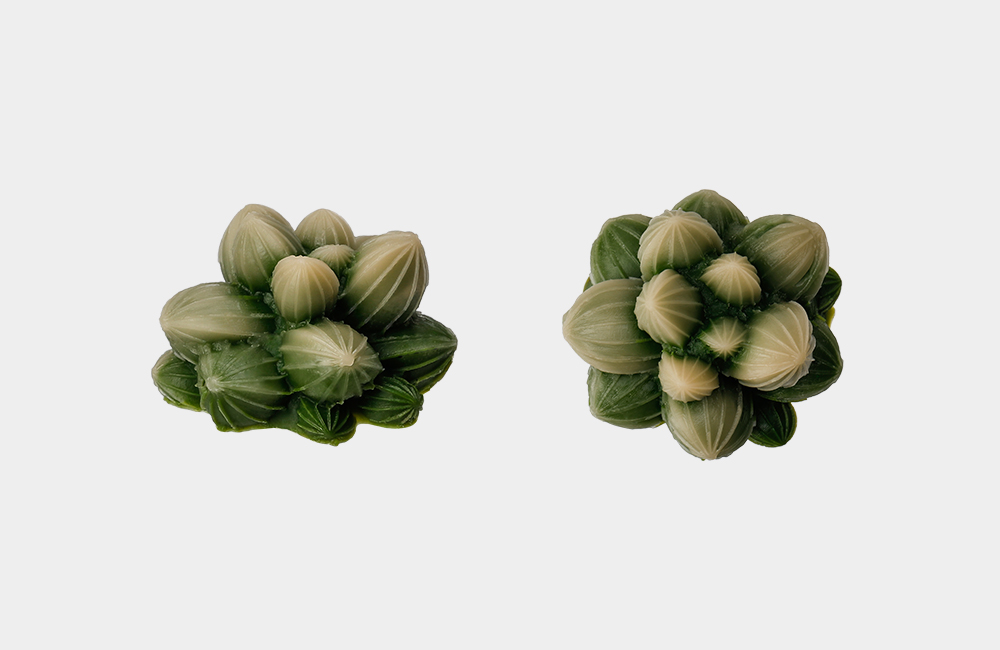 Detail_01_Camellia Deco.jpg