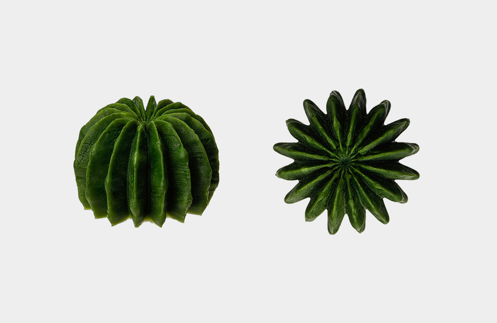 Detail_01_Camellia Deco.jpg