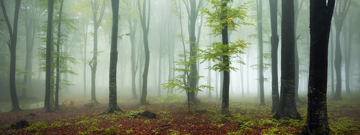 header_jmk