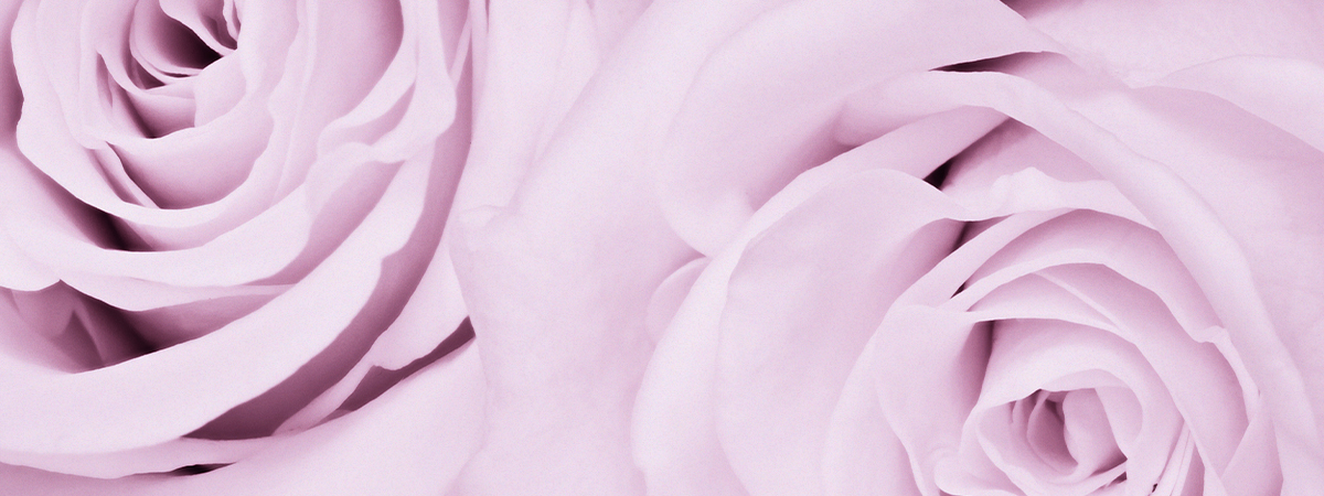 header_jmk