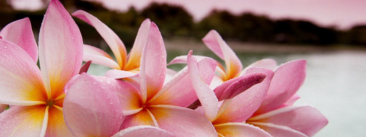 header_jmk