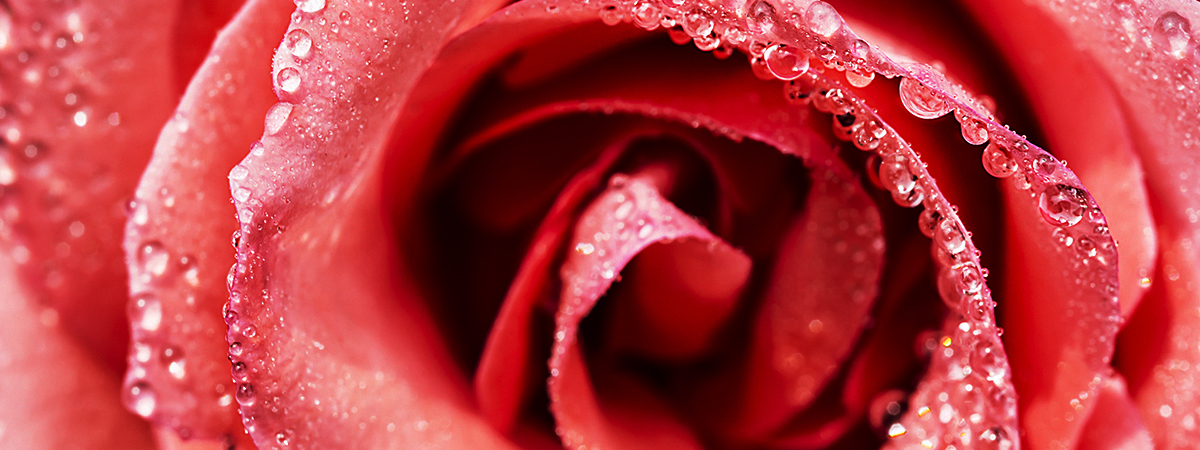 header_jmk