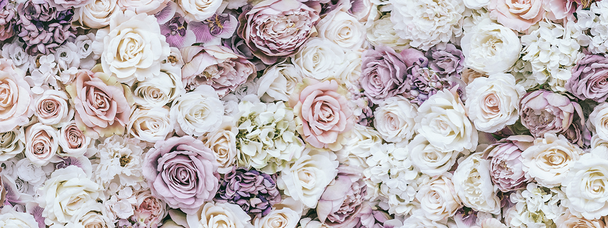 header_jmk