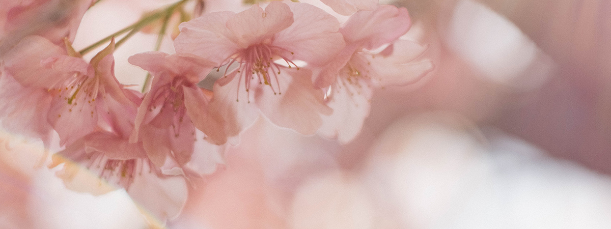 header_jmk