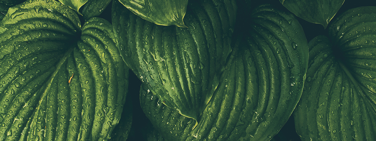 header_jmk